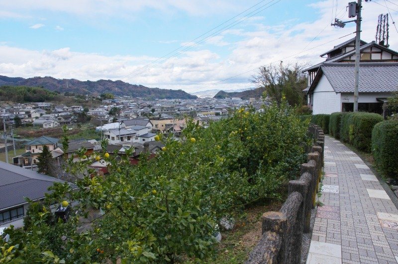 家並みに窯元の煙突が。砥部の里山風景