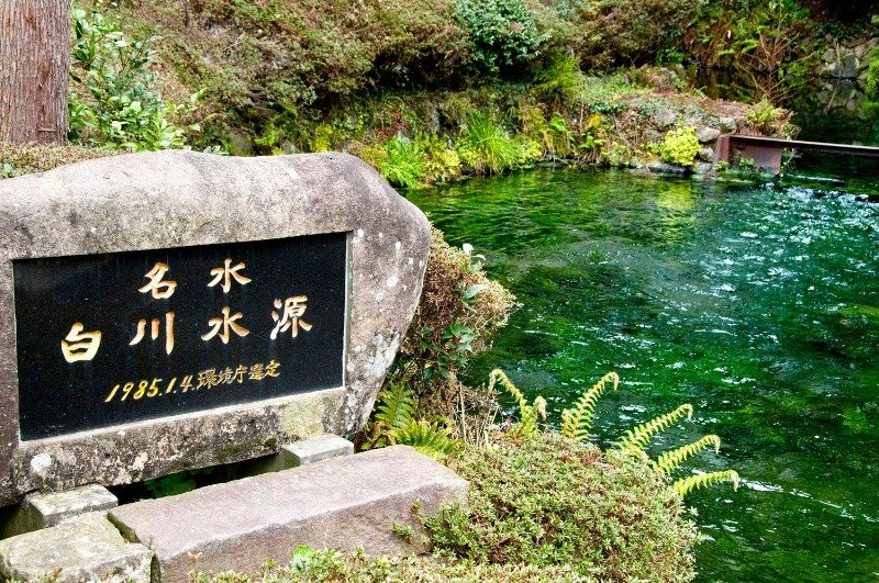 底から清らかな伏流水が湧き出します