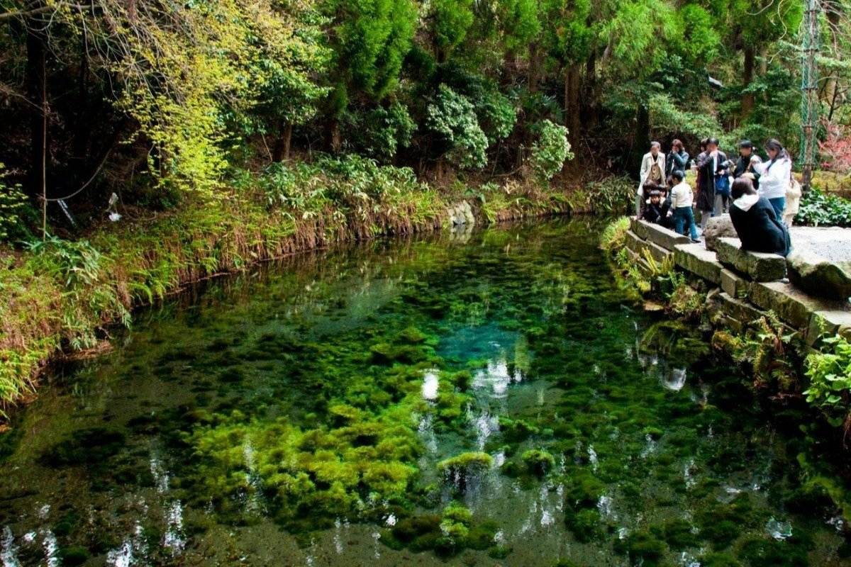 透明度が高く、澄みきった湧水地