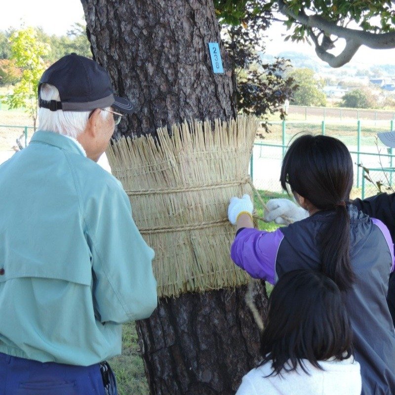 「こも巻き体験」には地域の子どもたちも参加