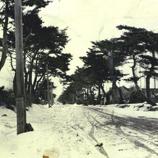 終戦頃の大川地区（現在の大中山駅近辺）と推測される冬の赤松街道