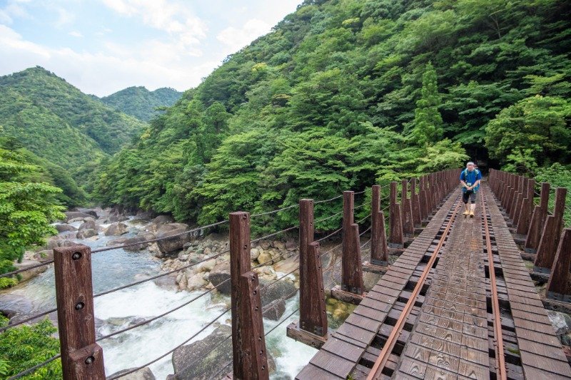 前半のトロッコ道では大小多くの橋を渡ります