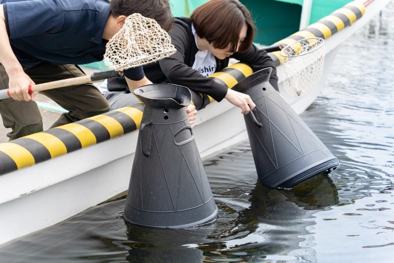 箱メガネで水中のウニを探します