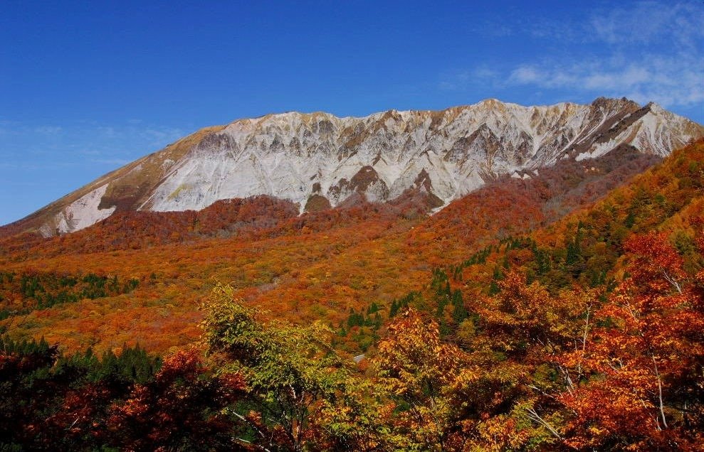 山麓（さんろく）を染め上げる紅葉　写真／鳥取県