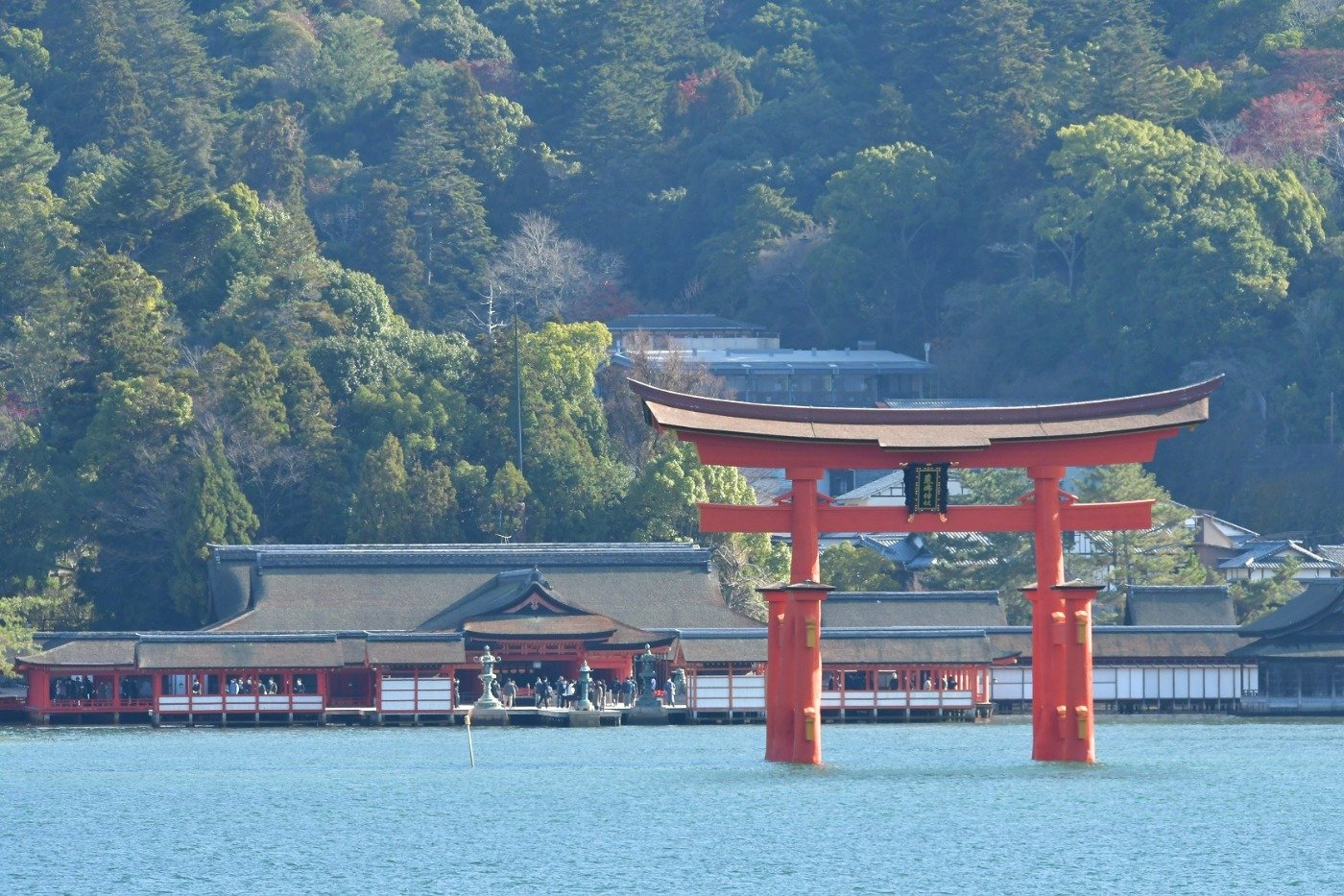 海から見た嚴島神社の大鳥居　※無断転載禁止
