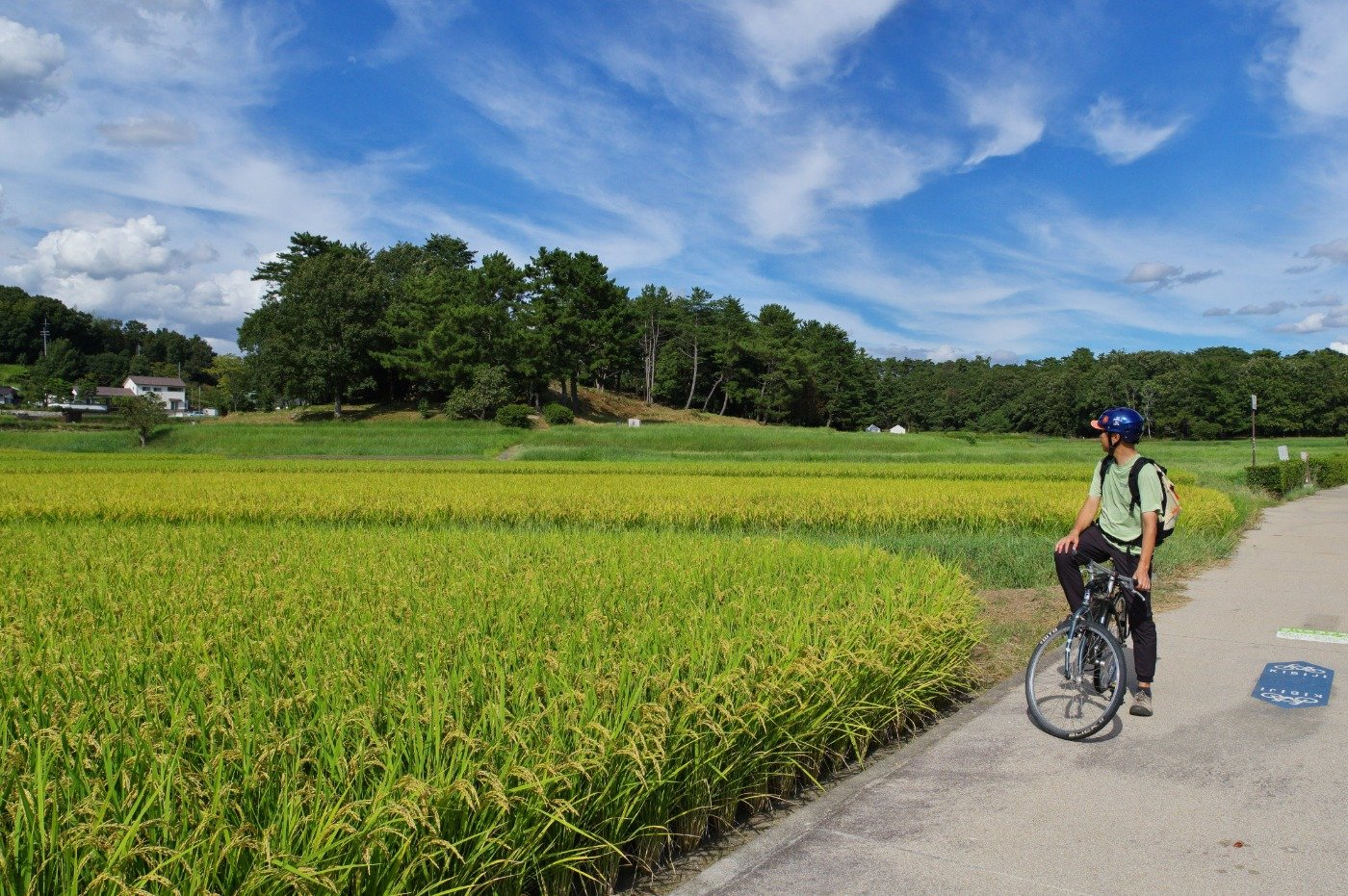 吉備路自転車道から見た「こうもり塚古墳」