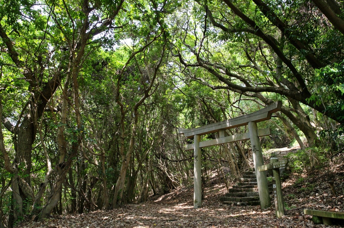 三崎神社の参道。社は頂上にあるが眺望なし