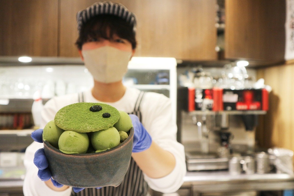 「京の盆栽」は1日20食限定です！