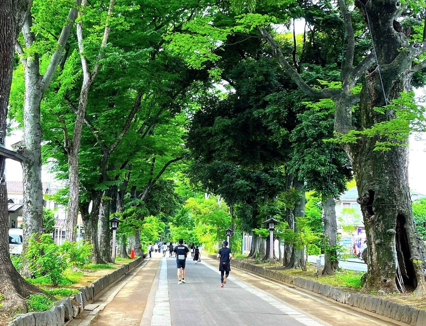 ウォーキングやジョギングコースとして地元の方々にも親しまれています