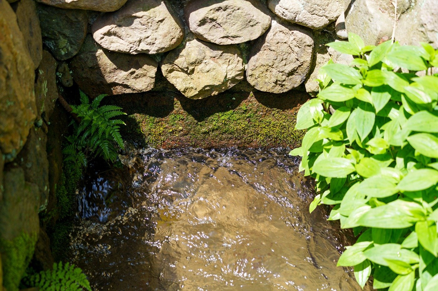 勢いよく水が流れ込む取水口