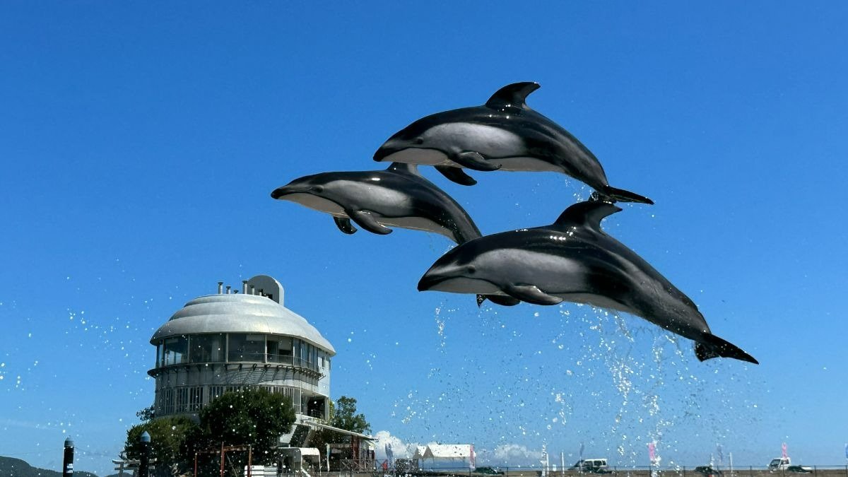 周囲を海に囲まれた瀬戸内海でイルカを飼育