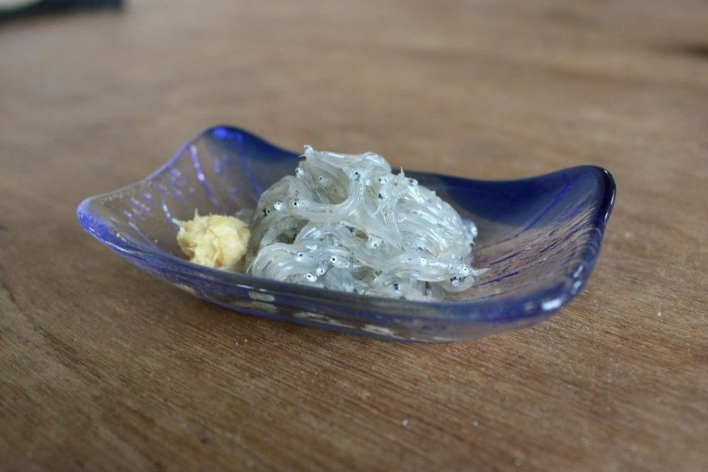 獲ったしらすは、漁港そばにある加工場で瞬間凍結。100グラム430円。朝獲れ生しらすは予約制で販売（6～8月中旬頃）