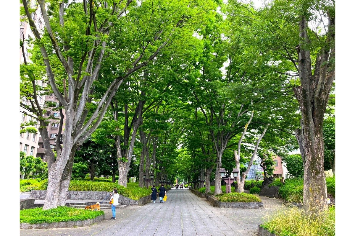 ときどき聞こえてくる鳥のさえずりも心地よいです