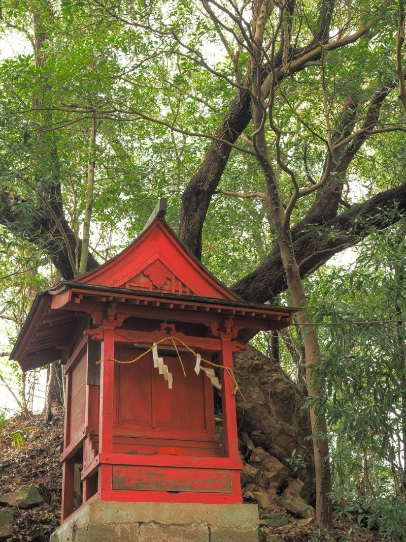 緑に覆われた御神体の小山