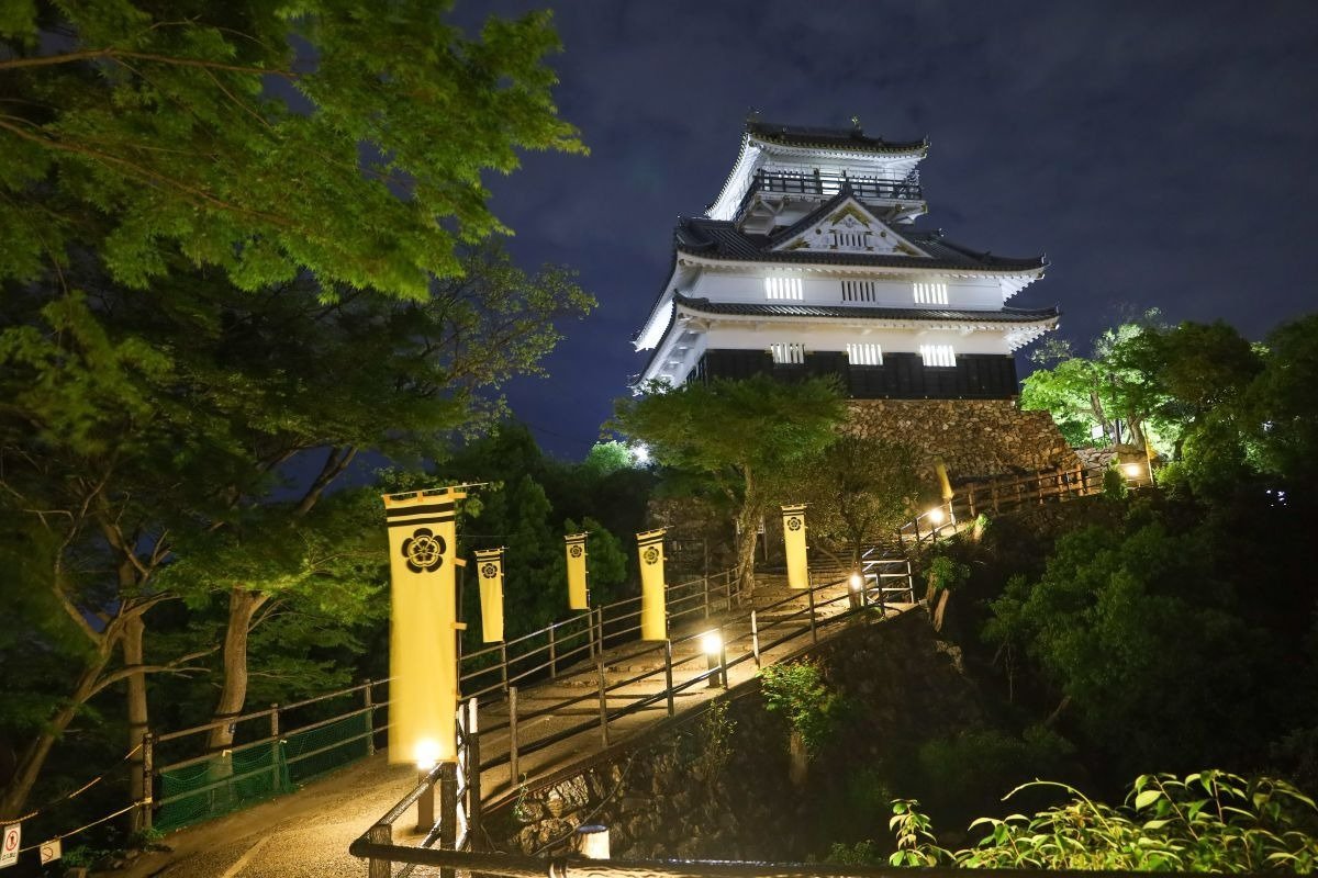 ライトアップされた岐阜城