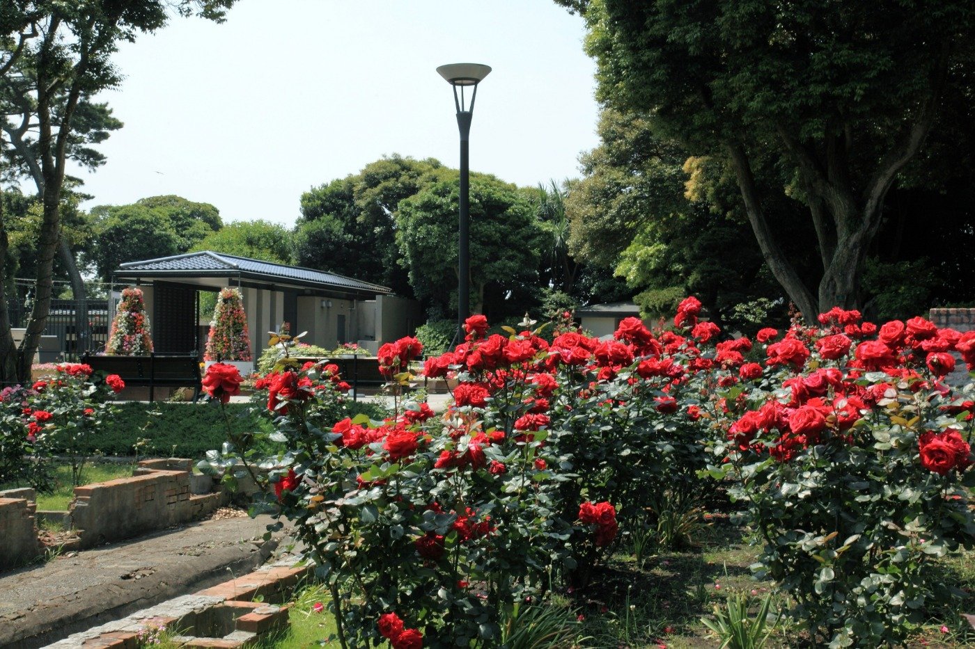 季節の花々が咲き乱れる苑内