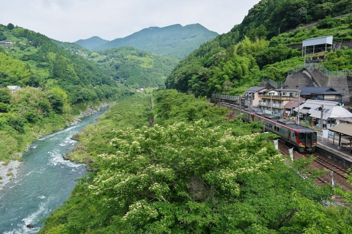 美しき急流を展望できる大歩危（おおぼけ）駅