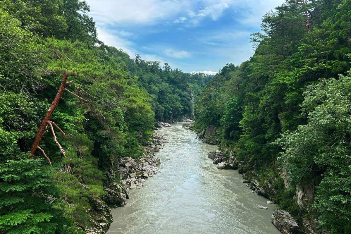 前日の雨で川は濁っていますが、それもまた迫力あり