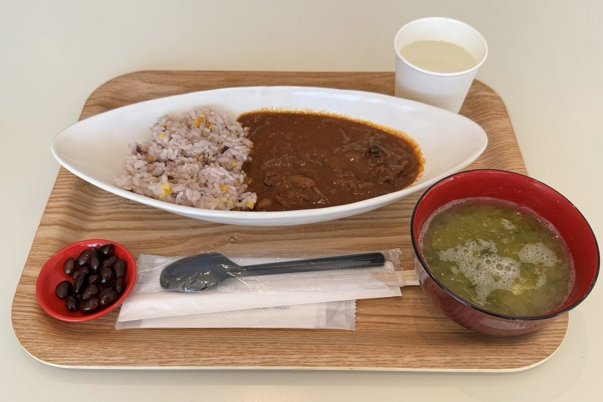 上越市立歴史博物館はカフェ併設。写真は「発芽玄米ハッシュドビーフ」