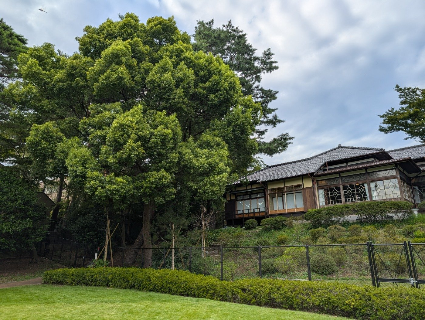 芝生広場。VRにより、大きな池や富士山を望む当時の景観、ツツジ・紅葉に彩られる季節も体感できます