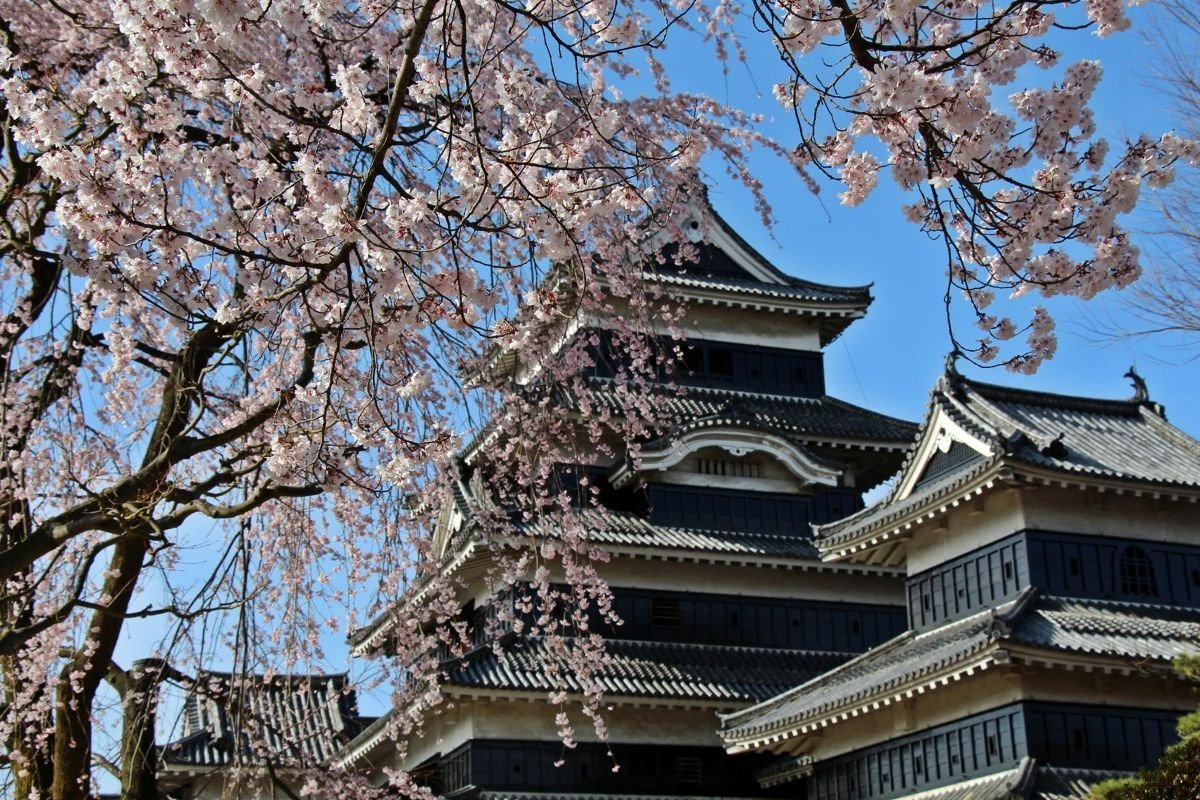 江戸時代以前から現存する12天守のひとつ。国宝