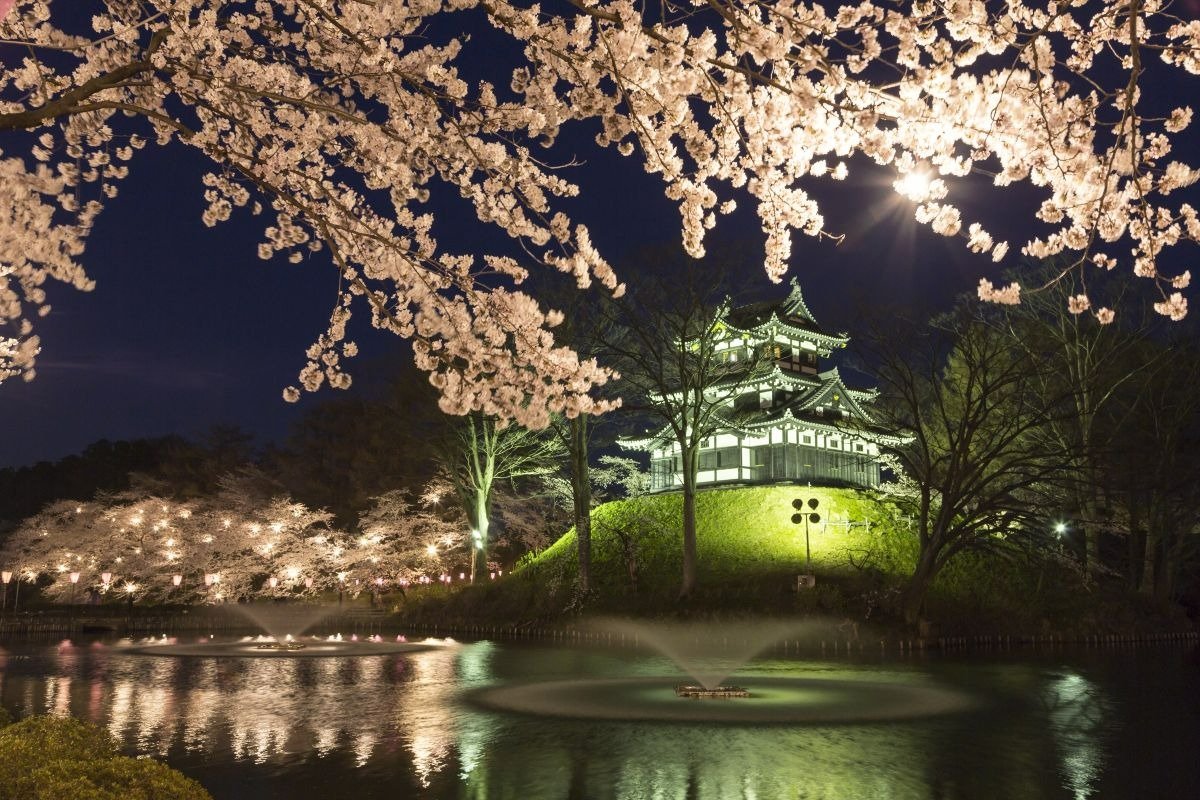 春には城を取り囲むように約4000本の桜が咲き誇ります
