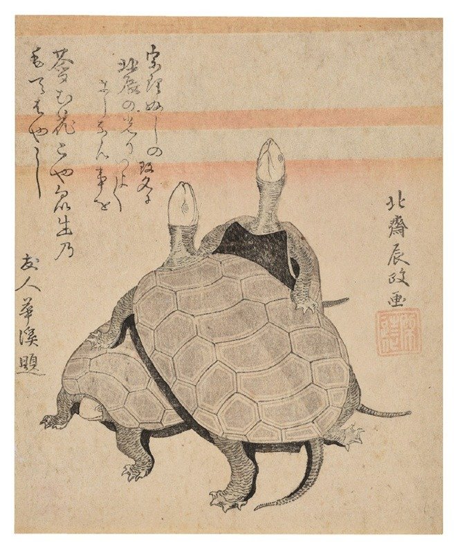 『亀図』（永田コレクション）