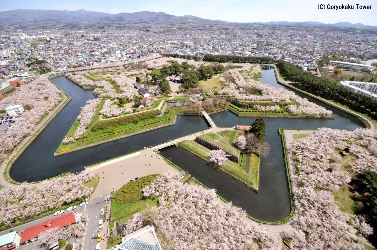 タワーから見るピンク色の星型は春限定