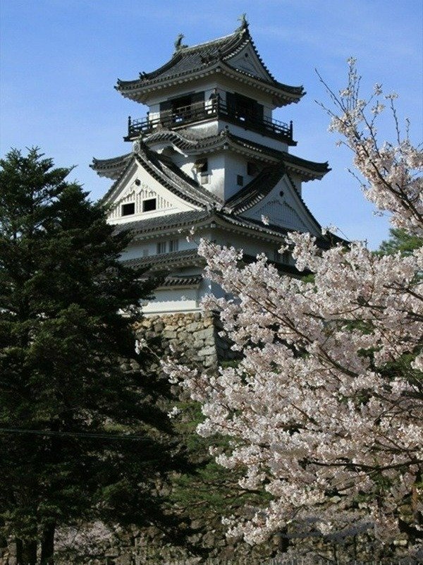 春には三ノ丸付近に咲く桜も楽しめます