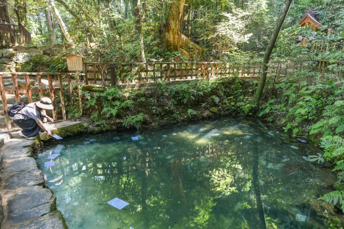 鏡の池。占い紙が沈むまでの時間と場所でご縁を占います