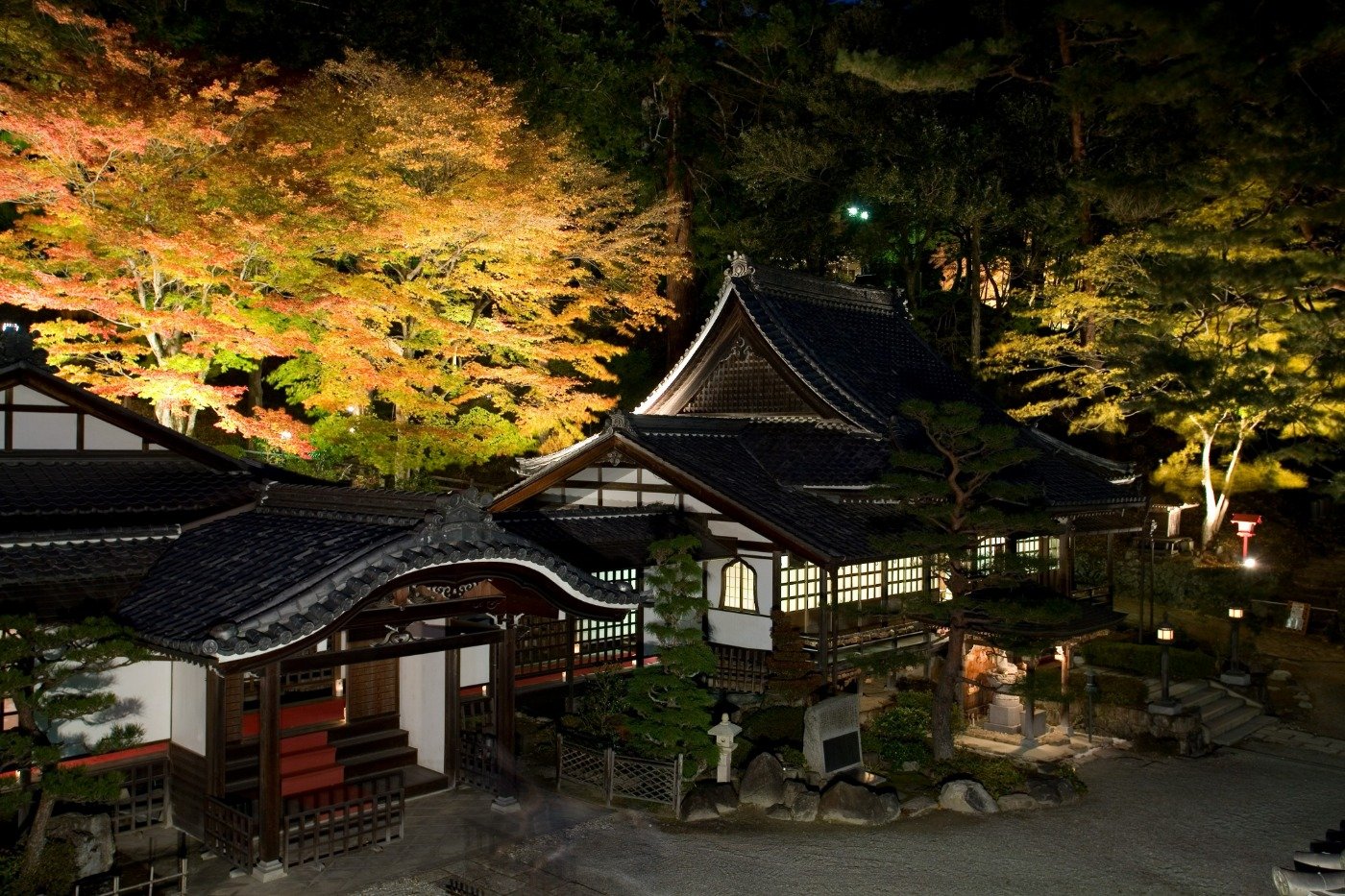 紅葉の見頃の時期にはライトアップを開催（2025年は11月12～24日）