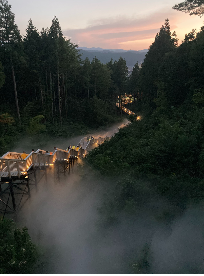 人工の霧で覆われる「もりの雲海」は必見