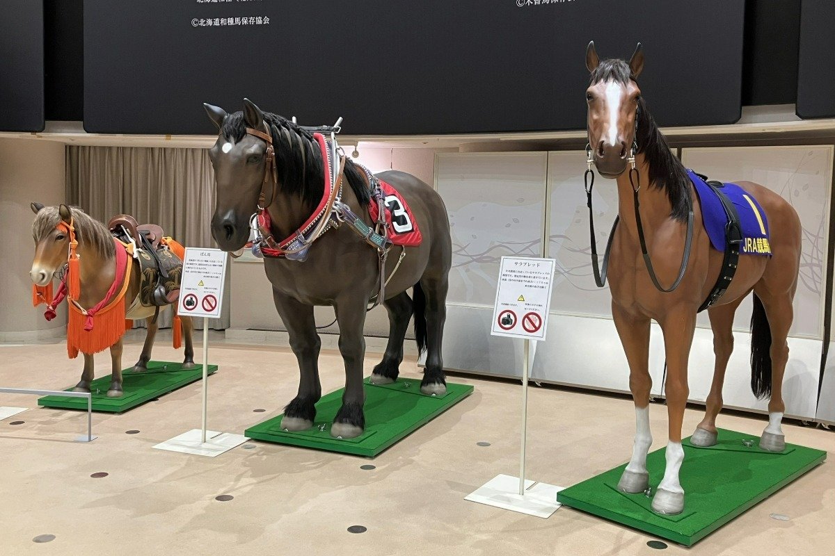 「馬の学び舎 ミュージアム・ホール」に常設展示されている馬像模型 