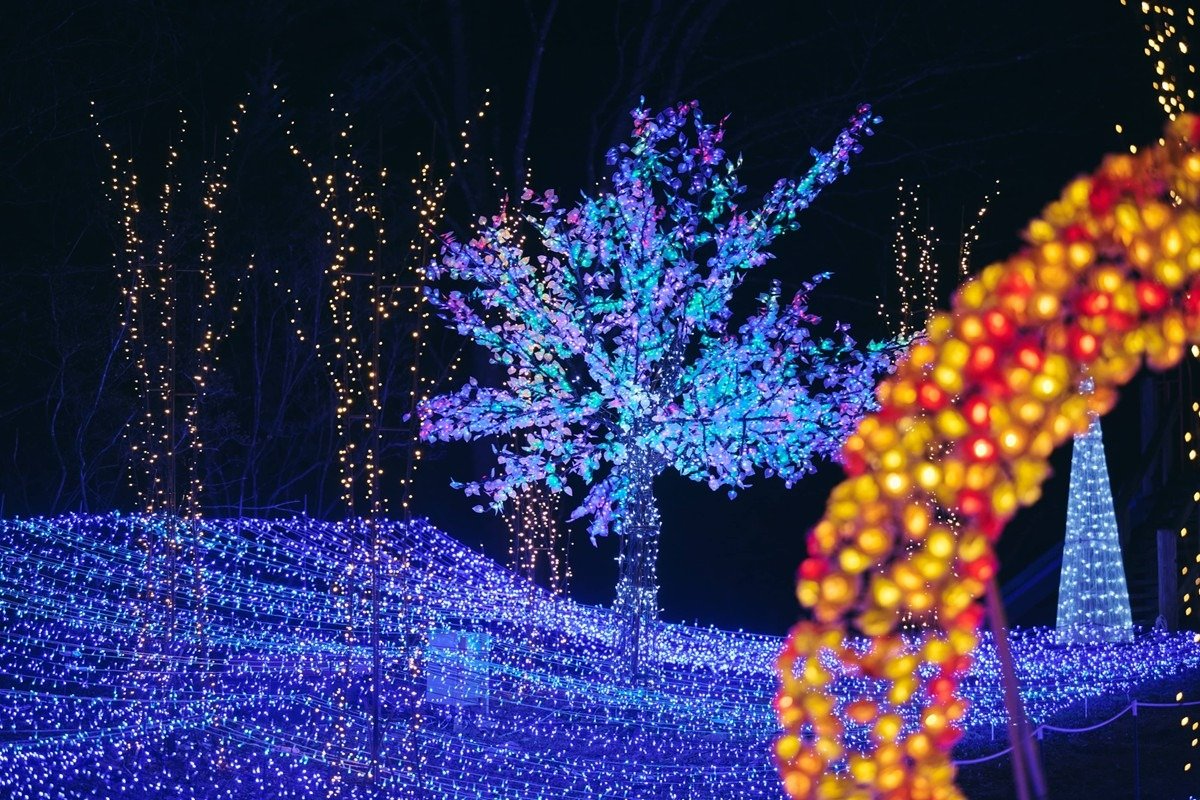 約95万球のLEDを使用する県内最大級のイルミネーション