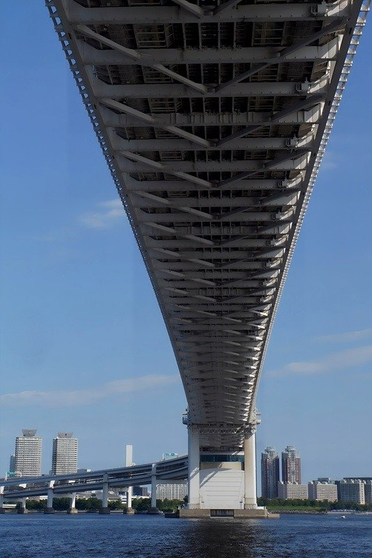 岡戸さんが撮影した写真「芝浦南ふ頭公園から見たレインボーブリッジ」