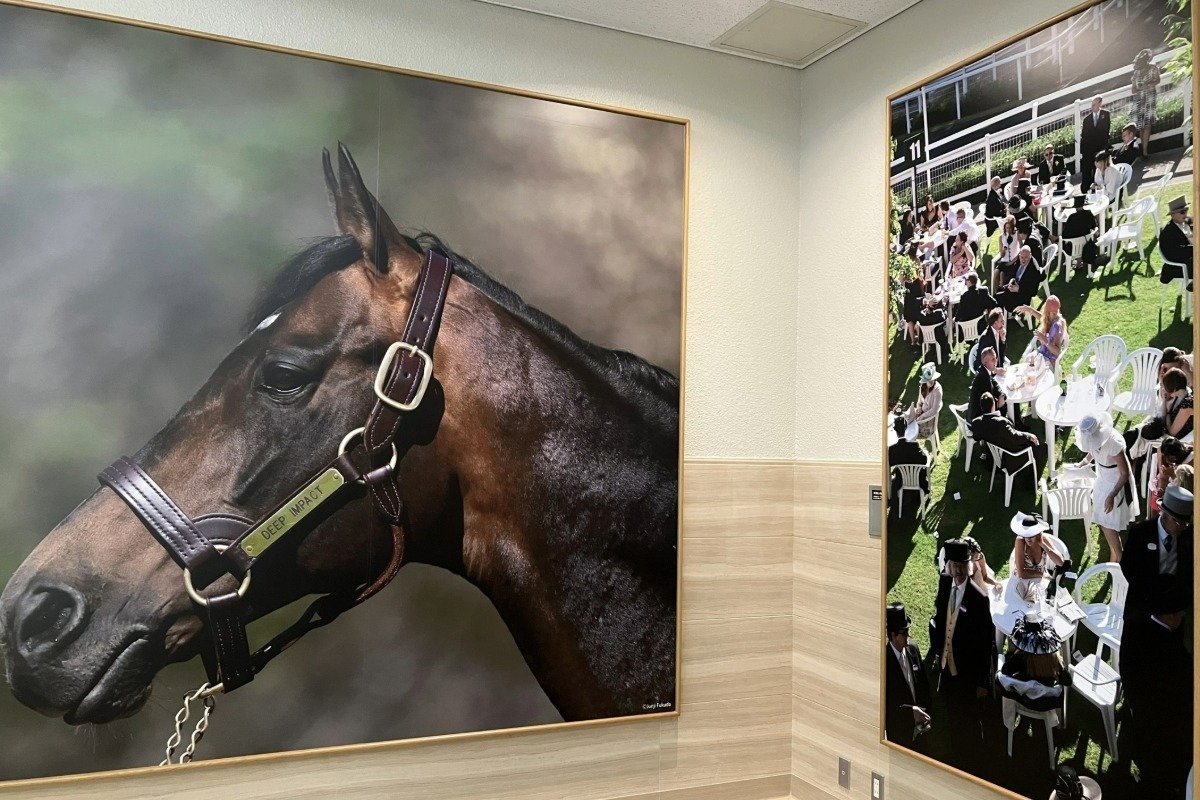 名馬と一緒に記念撮影ができるフォトスポット