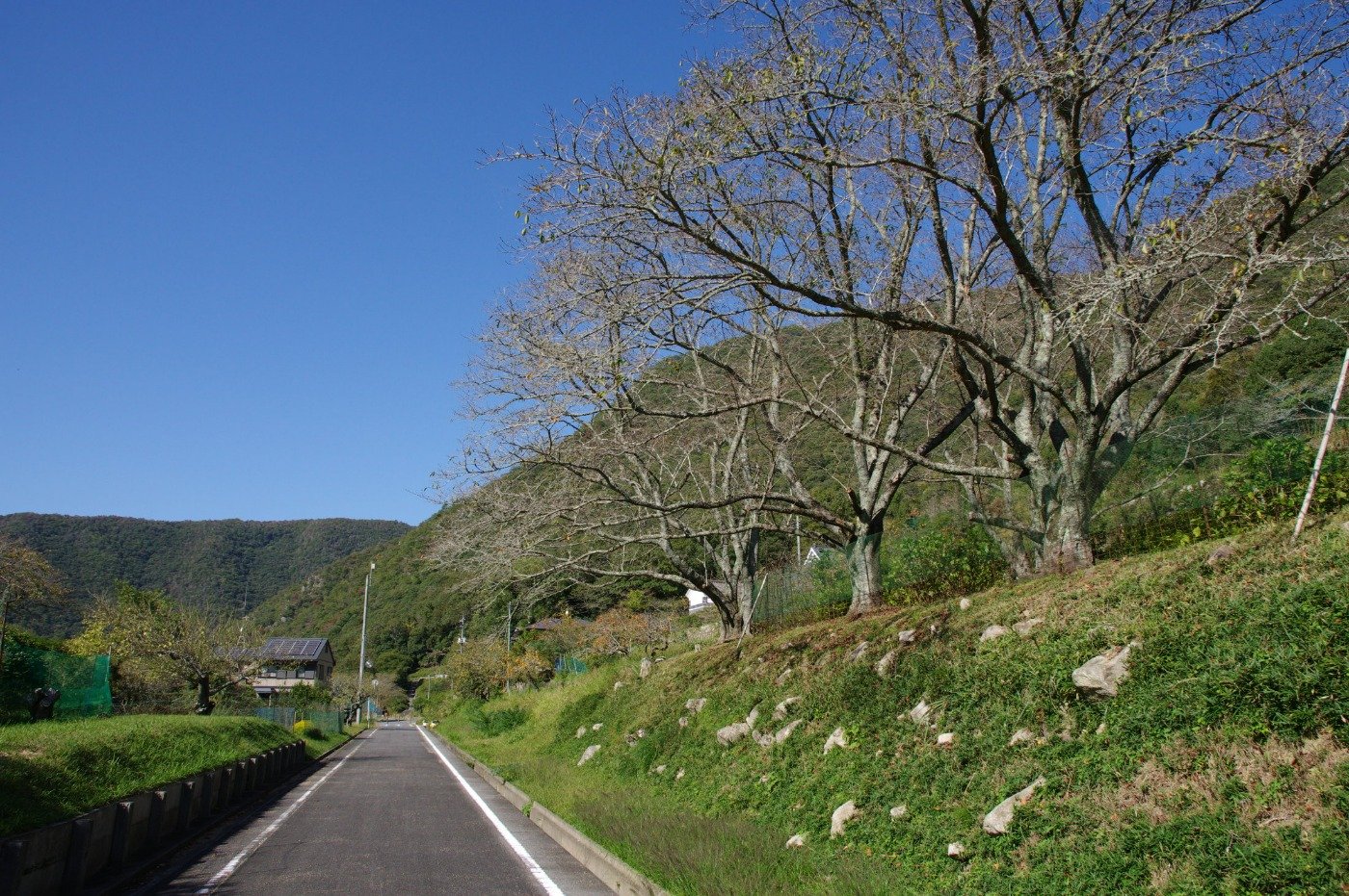 里山風景も片鉄ロマン街道の魅力