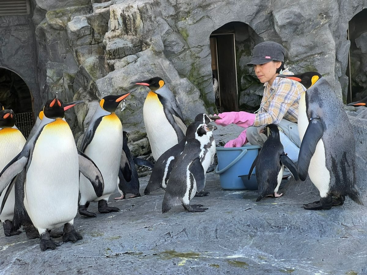 もぐもぐタイムは「ぺんぎん館」で