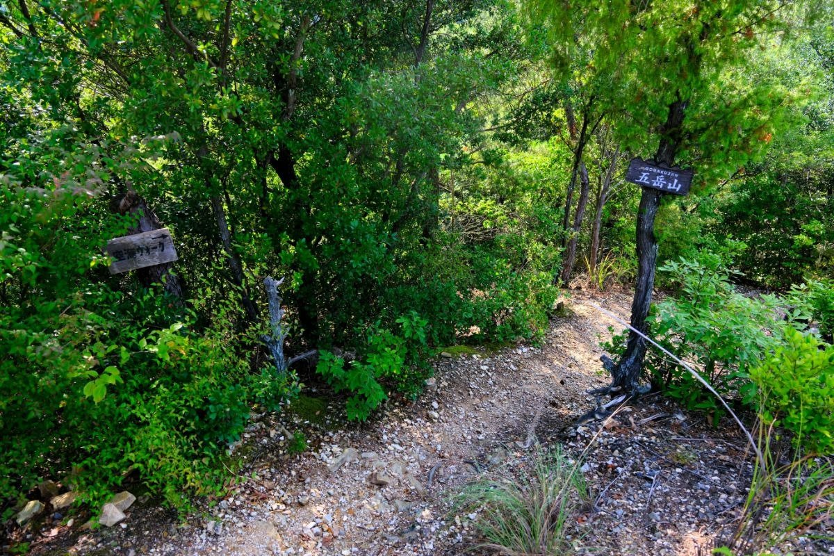 大師堂はこちらから下山。ぐるりとまわってお稲荷さんへ