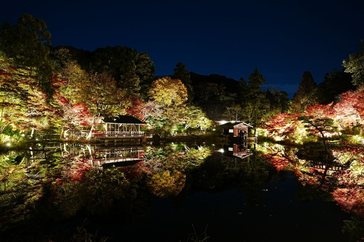 奥池の水面に映る逆さもみじが幻想的なライトアップ