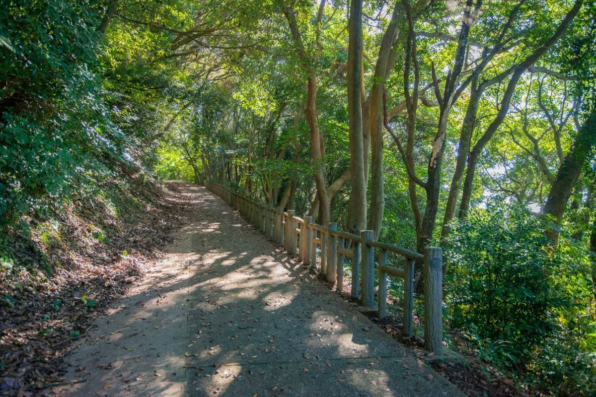 唐津の町並みが見えてきたら山道も残りわずか