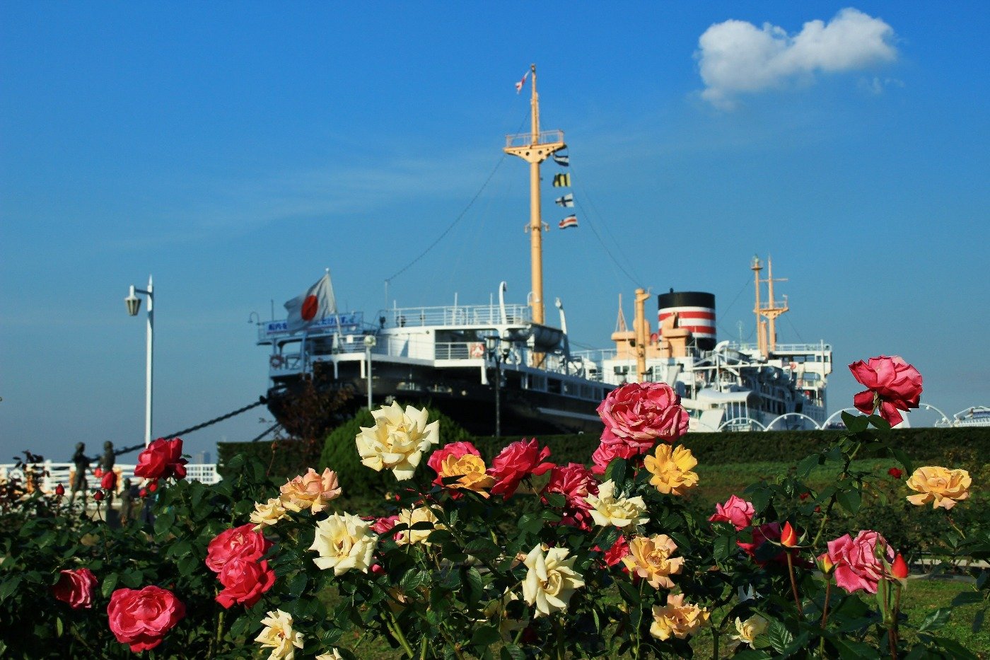 山下公園に係留されている「日本郵船氷川丸」とバラ園