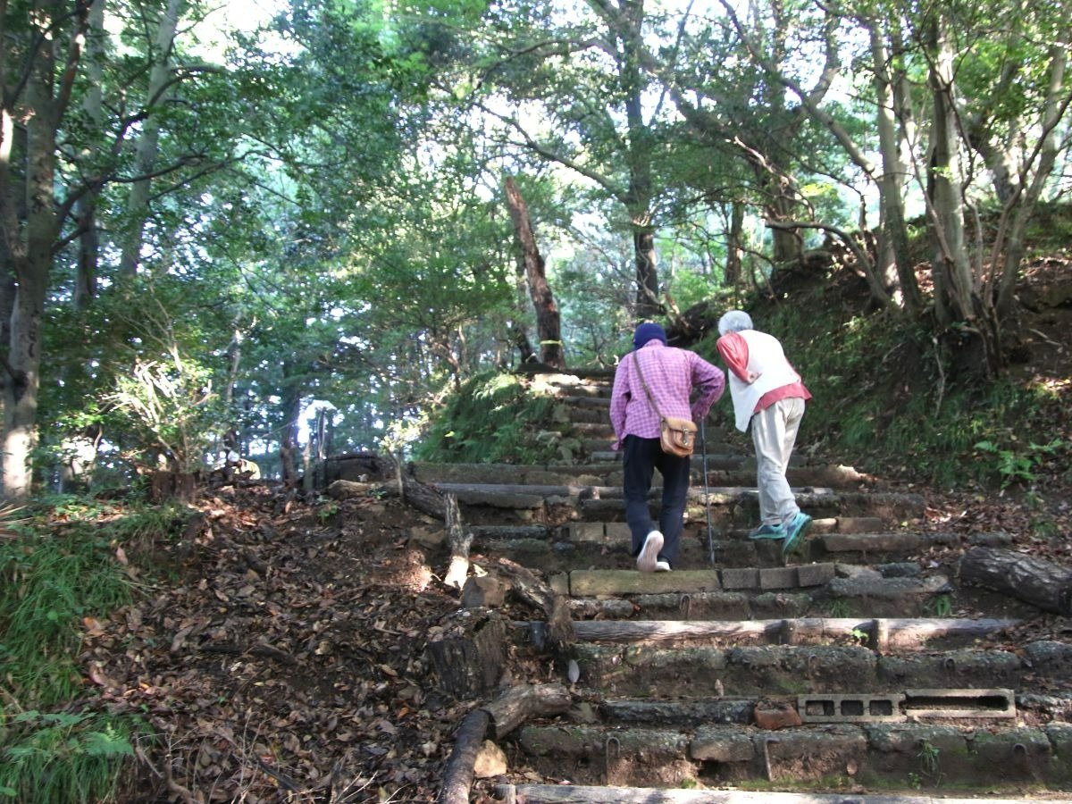 しだいに登山道らしい雰囲気に