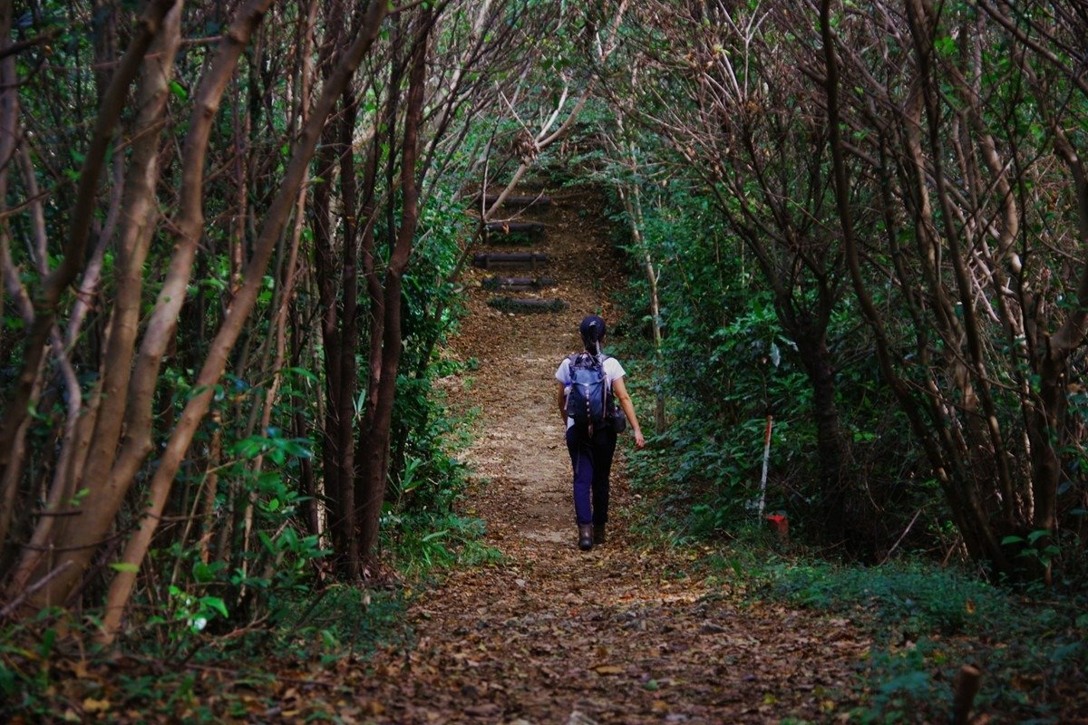 樹木に覆われ、空を隠された低山の登山道。暗くなるのが早いのは当然だ