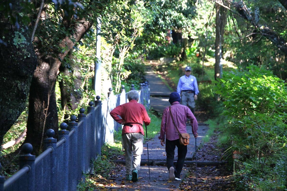 東屋の先は傾斜の緩い坂道になっています
