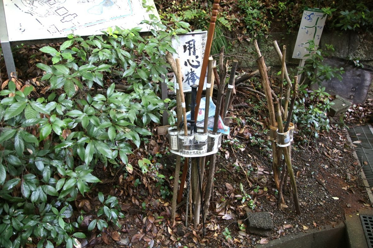 拝殿の裏から登山開始！