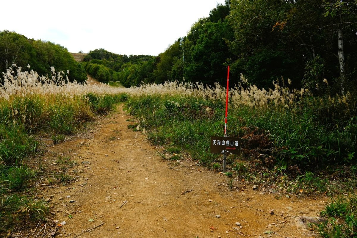 ロープウェイを使わず歩いて登ります。登山口はとてもシンプル！