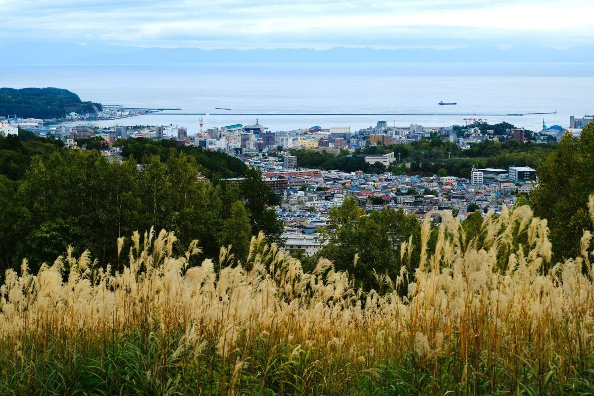 振り返れば、小樽の町