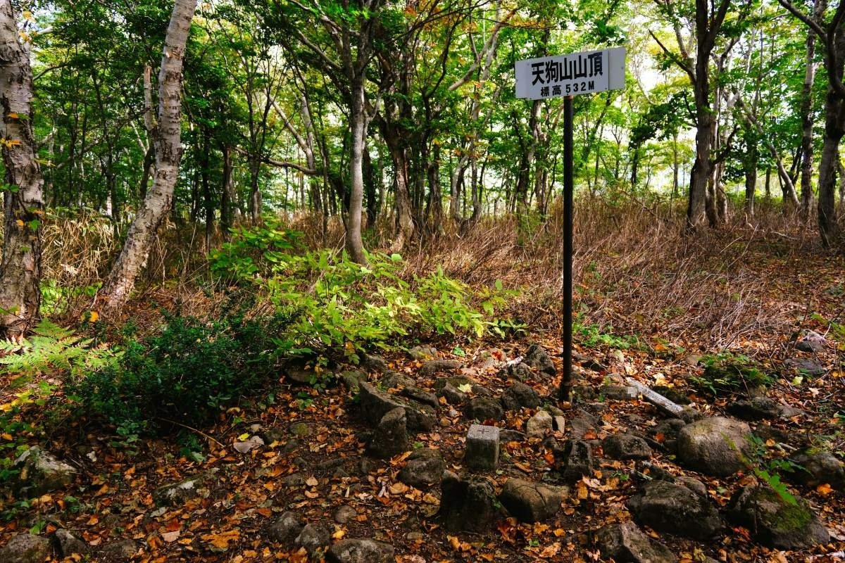 標高532メートルの天狗山。展望のない山頂