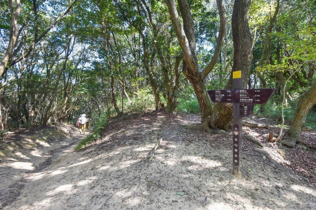 山道にある道しるべの写真